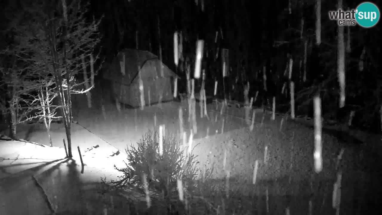 Webcam Lukanja – Pohorje houses a Water village