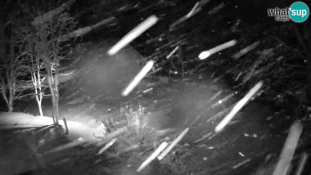 Webcam Lukanja – Water Village | Pohorje Houses