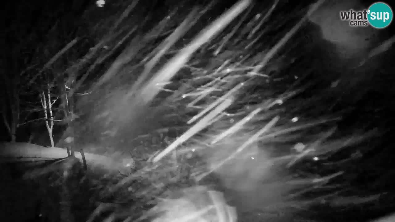 Webcam Lukanja – Water Village | Pohorje Houses