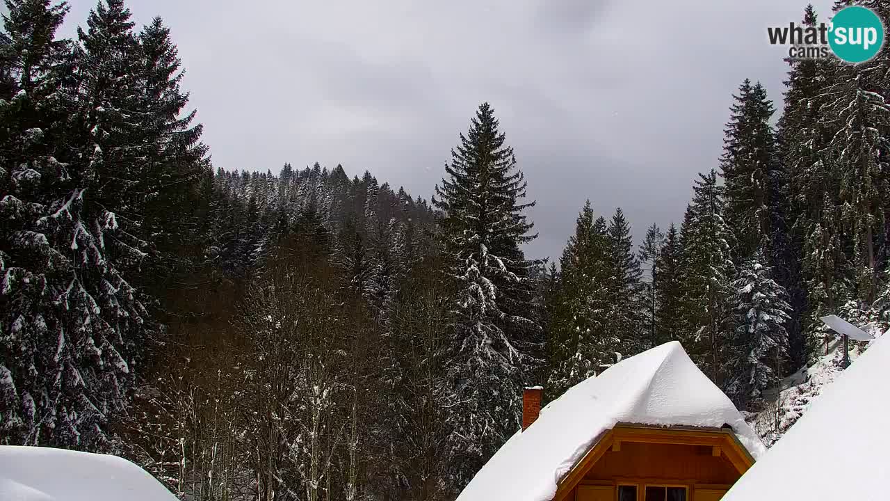 Webcam Lukanja – Water Village | Pohorje Houses