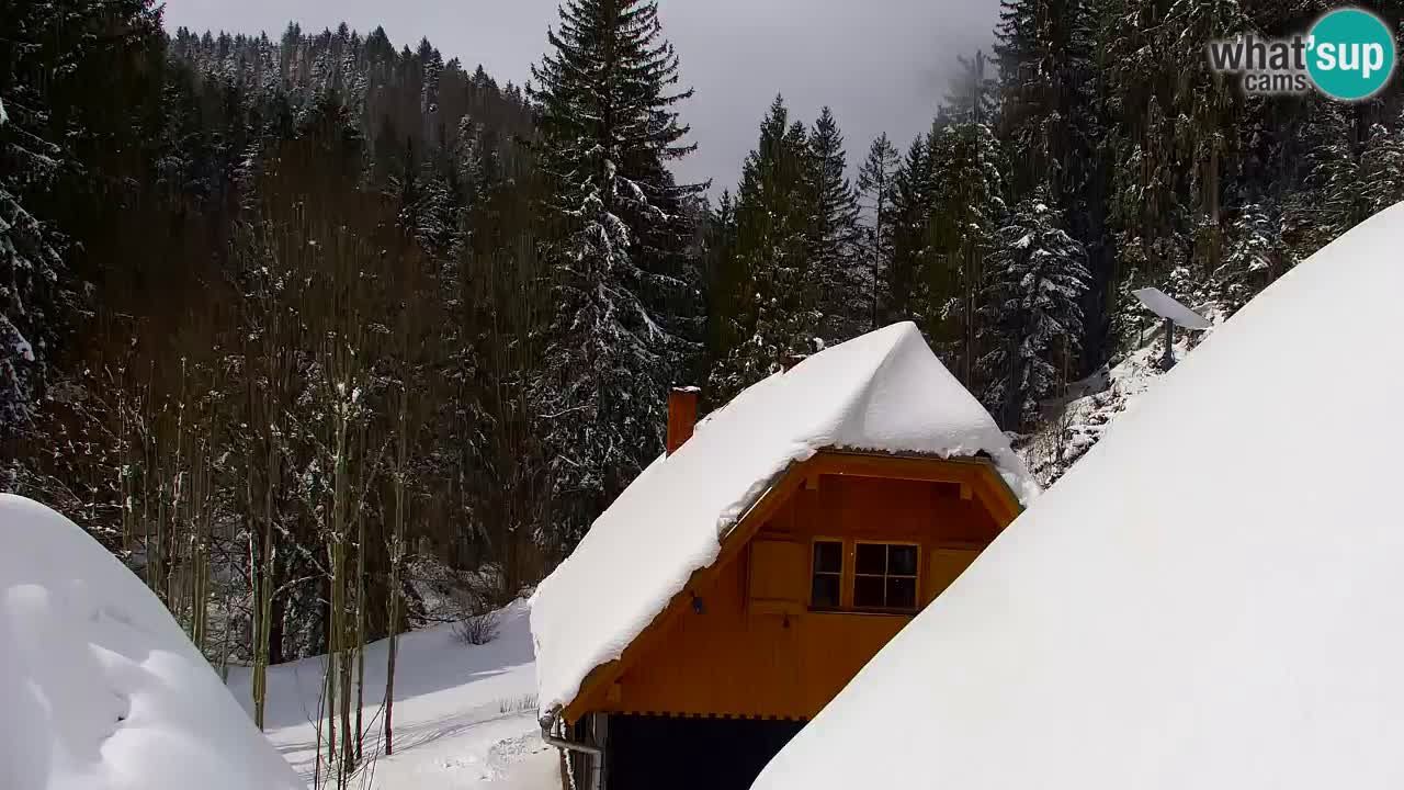 Webcam Lukanja – Water Village | Pohorje Houses
