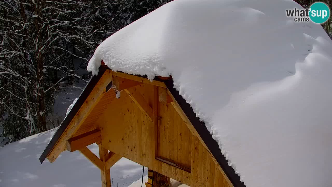 Webcam Lukanja – Water Village | Pohorje Houses