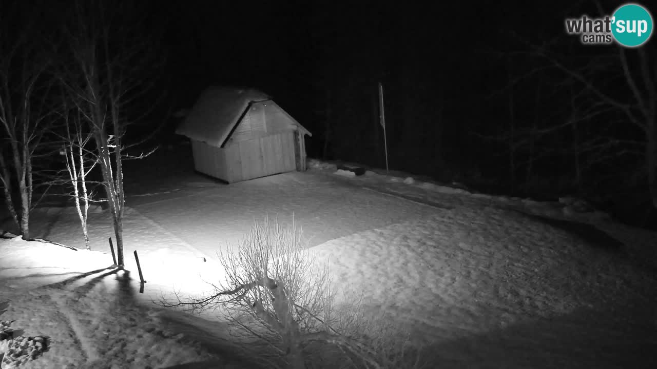 Webcam Lukanja – Water Village | Pohorje Houses