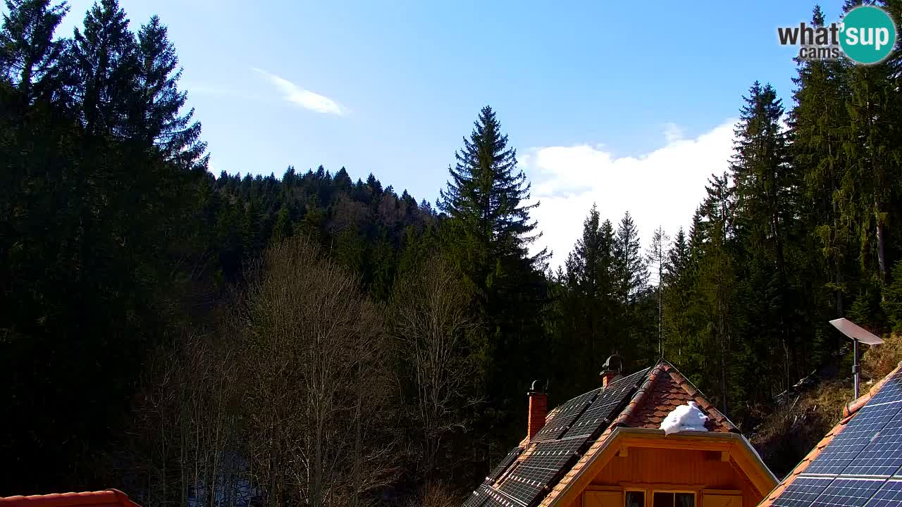 Webcam Lukanja – Pohorje houses a Water village