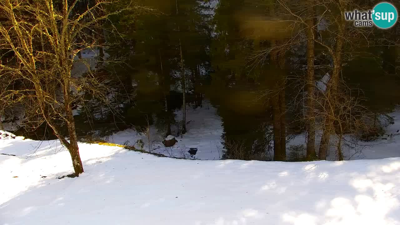 Webcam Lukanja – Water Village | Pohorje Houses