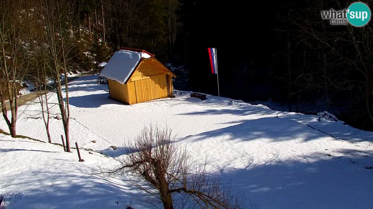 Spletna kamera Lukanja – Water Village | Pohorje Houses