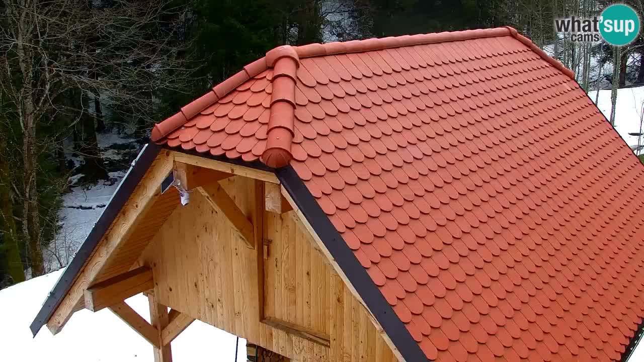 Webcam Lukanja – Water Village | Pohorje Houses