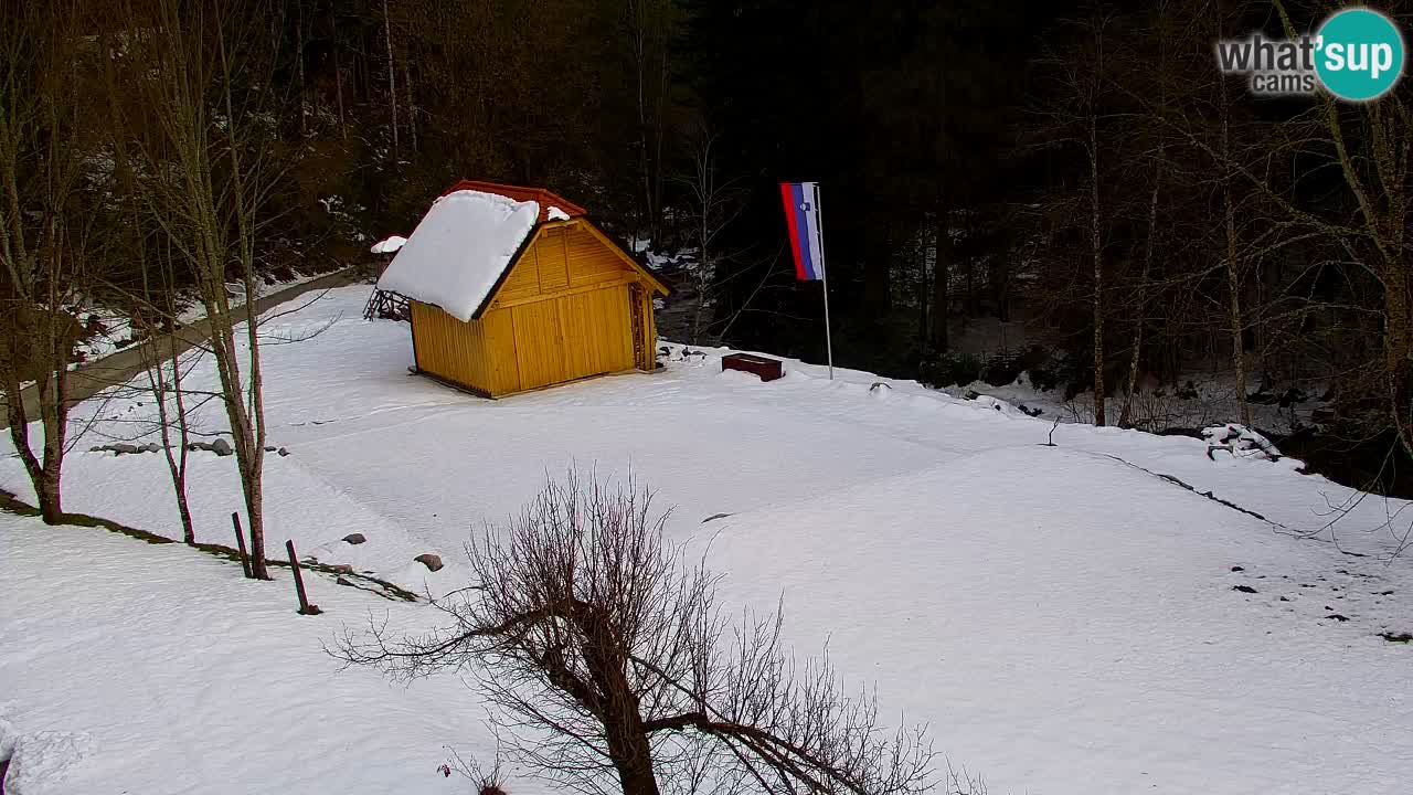 Spletna kamera Lukanja – Water Village | Pohorje Houses