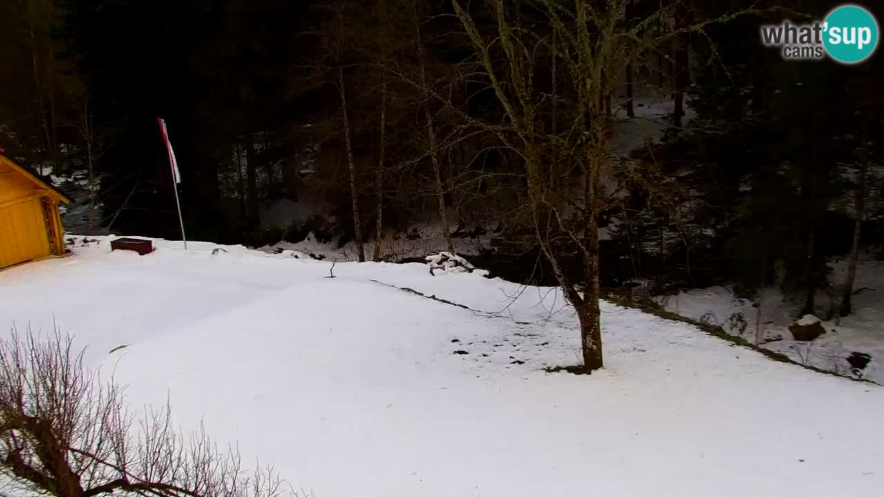 Webcam Lukanja – Water Village | Pohorje Houses