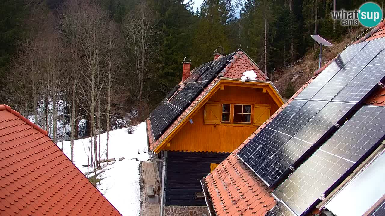 Webcam Lukanja – Water Village | Pohorje Houses