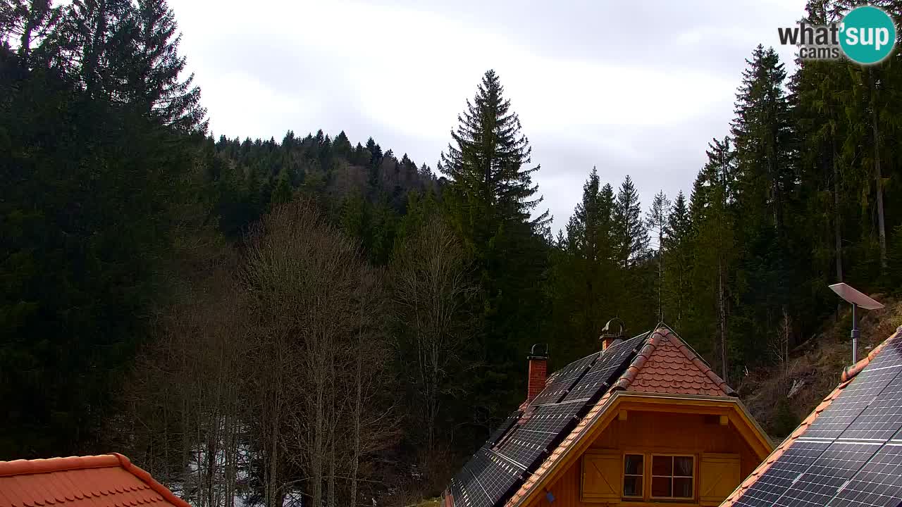 Webcam Lukanja – Pohorje houses a Water village