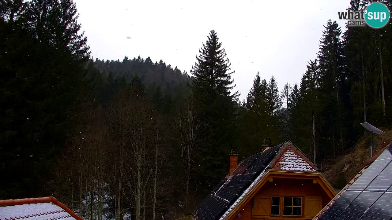 Webcam Lukanja – Pohorje houses a Water village