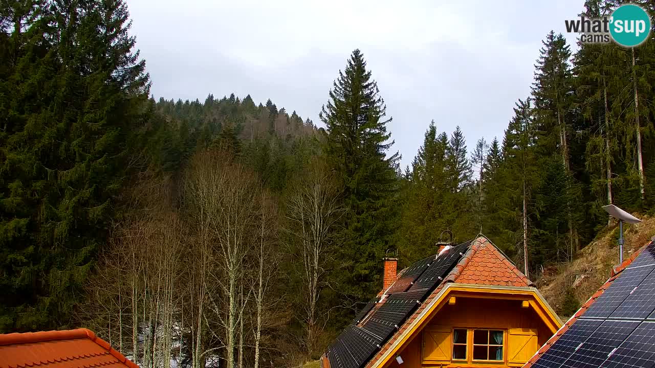 Web kamera Lukanja – Water Village | Pohorje Houses