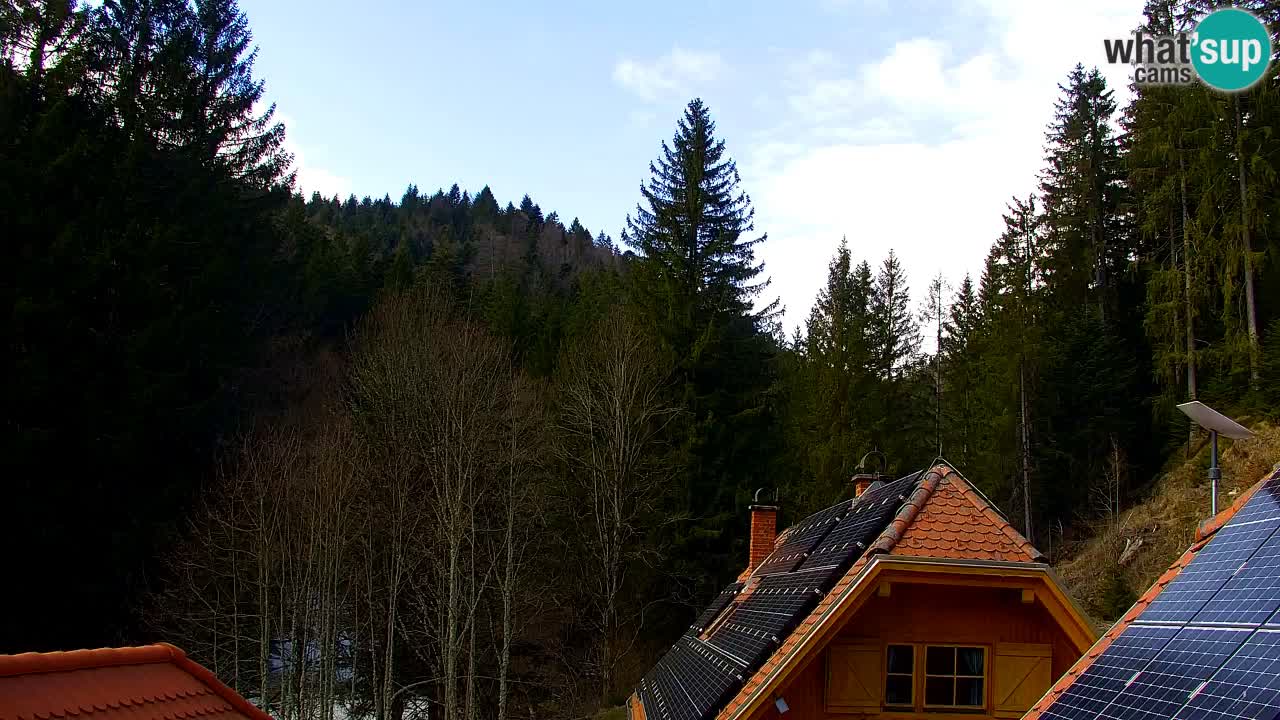 Webcam Lukanja – Water Village | Pohorje Houses