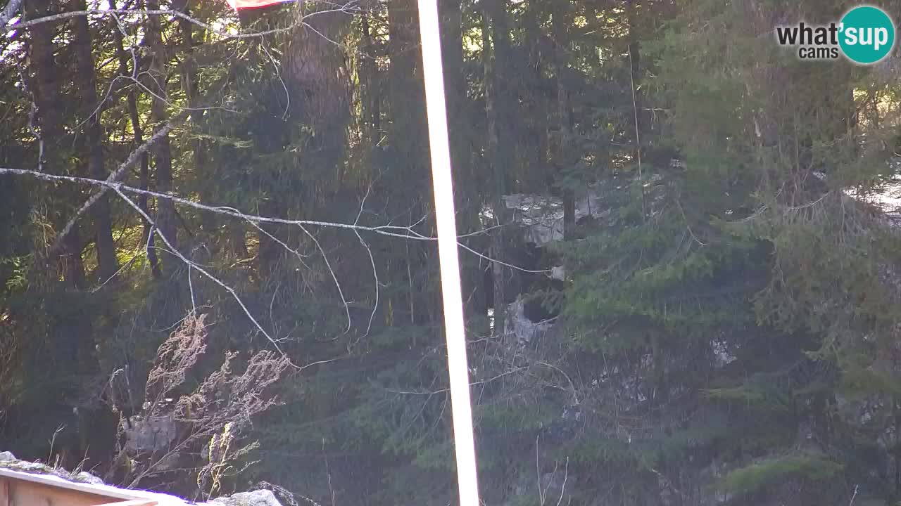 Webcam Lukanja – Pohorje houses a Water village