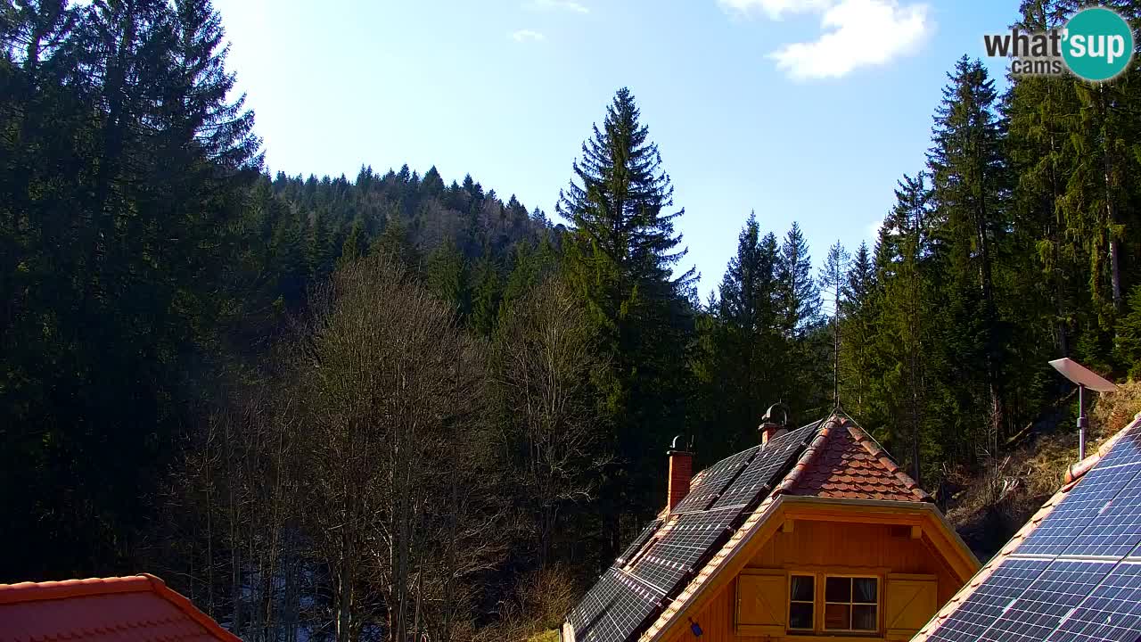 Webcam Lukanja – Pohorje houses a Water village
