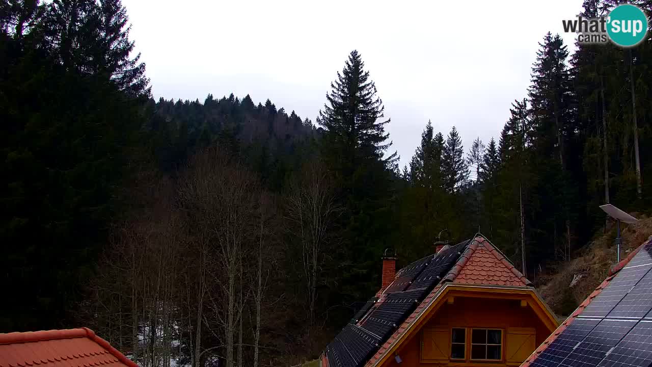 Webcam Lukanja – Water Village | Pohorje Houses