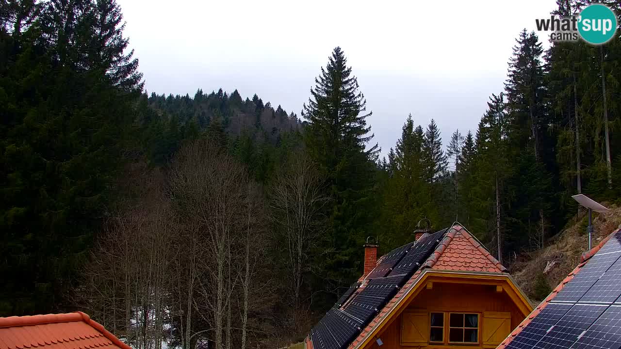 Webcam Lukanja – Water Village | Pohorje Houses