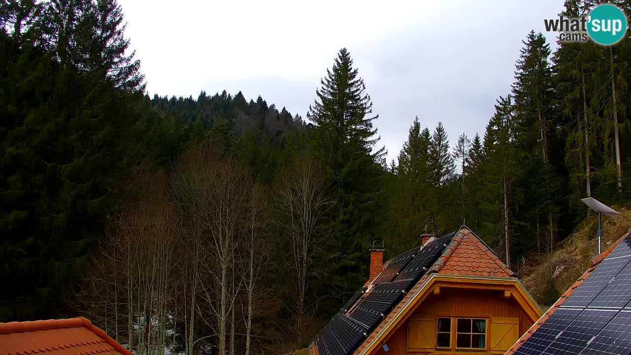 Webcam Lukanja – Water Village | Pohorje Houses