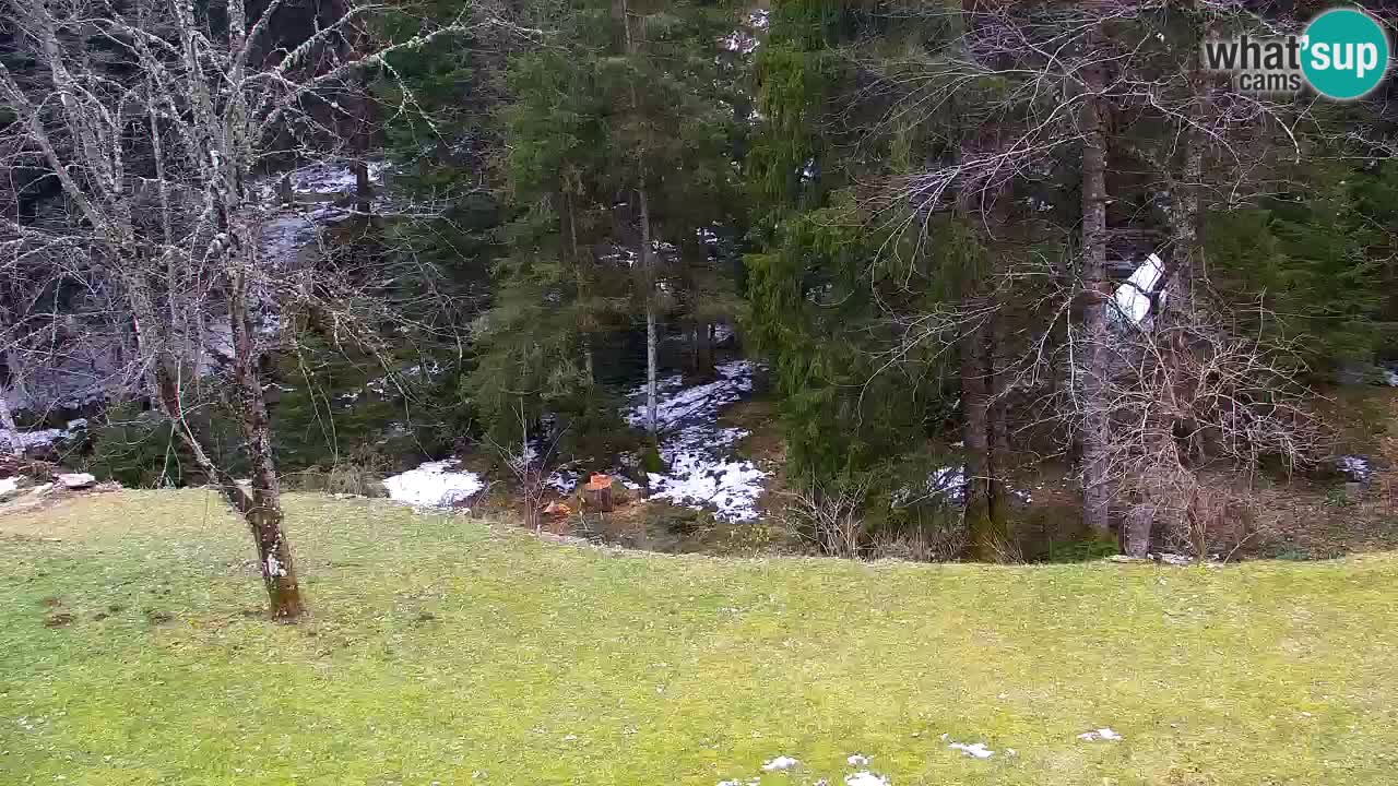 Webcam Lukanja – Water Village | Pohorje Houses