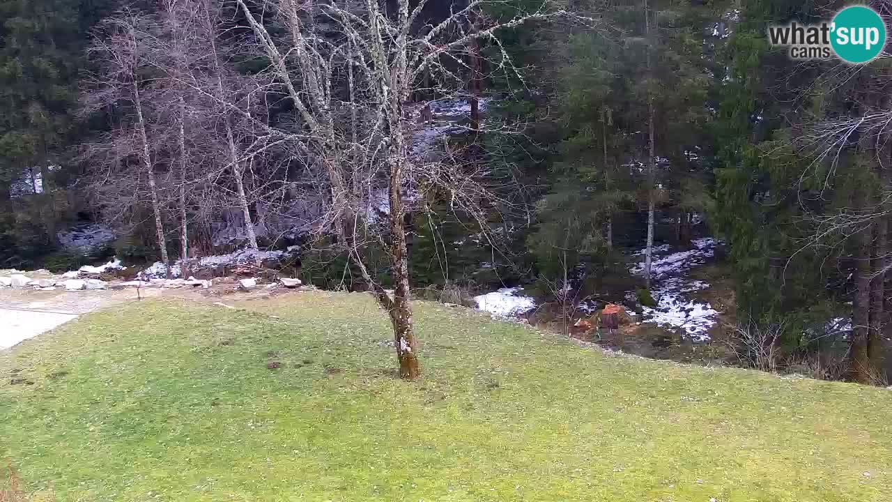 Spletna kamera Lukanja – Water Village | Pohorje Houses