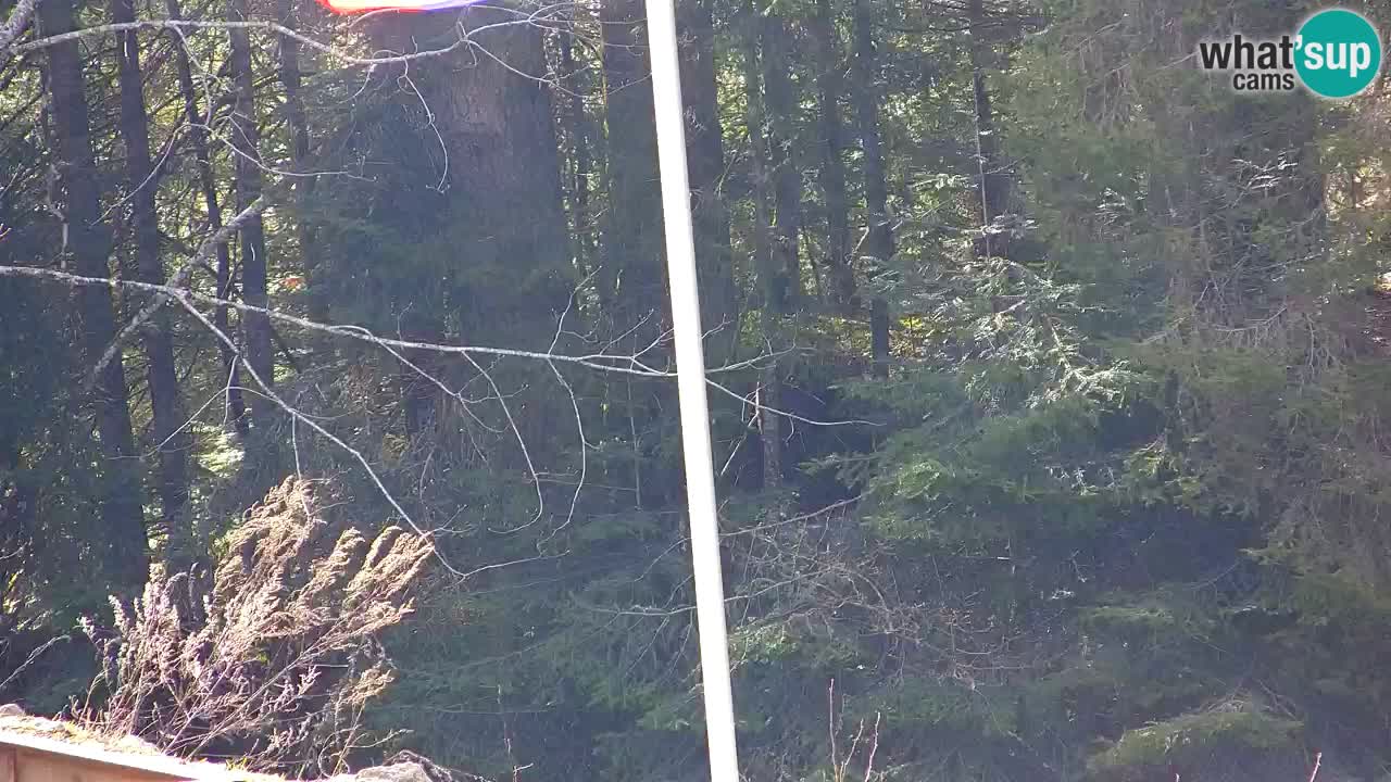 Webcam Lukanja – Water Village | Pohorje Houses