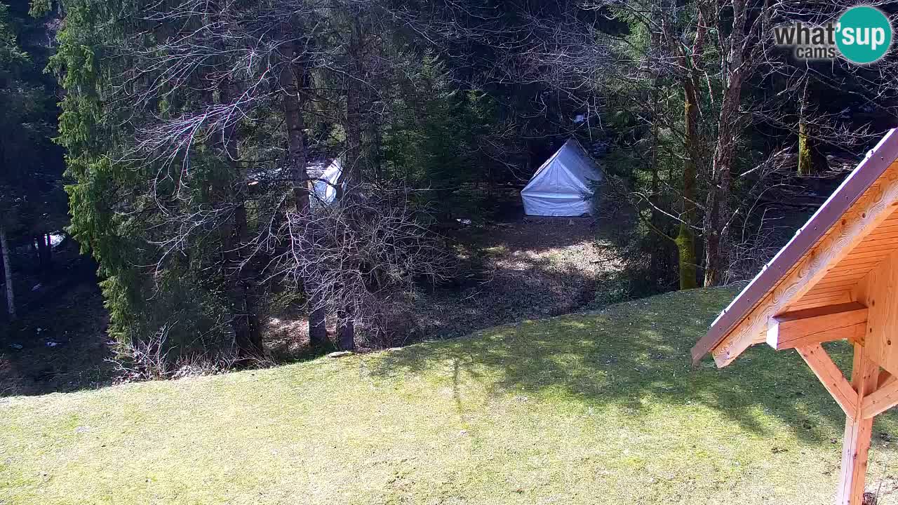 Spletna kamera Lukanja – Water Village | Pohorje Houses
