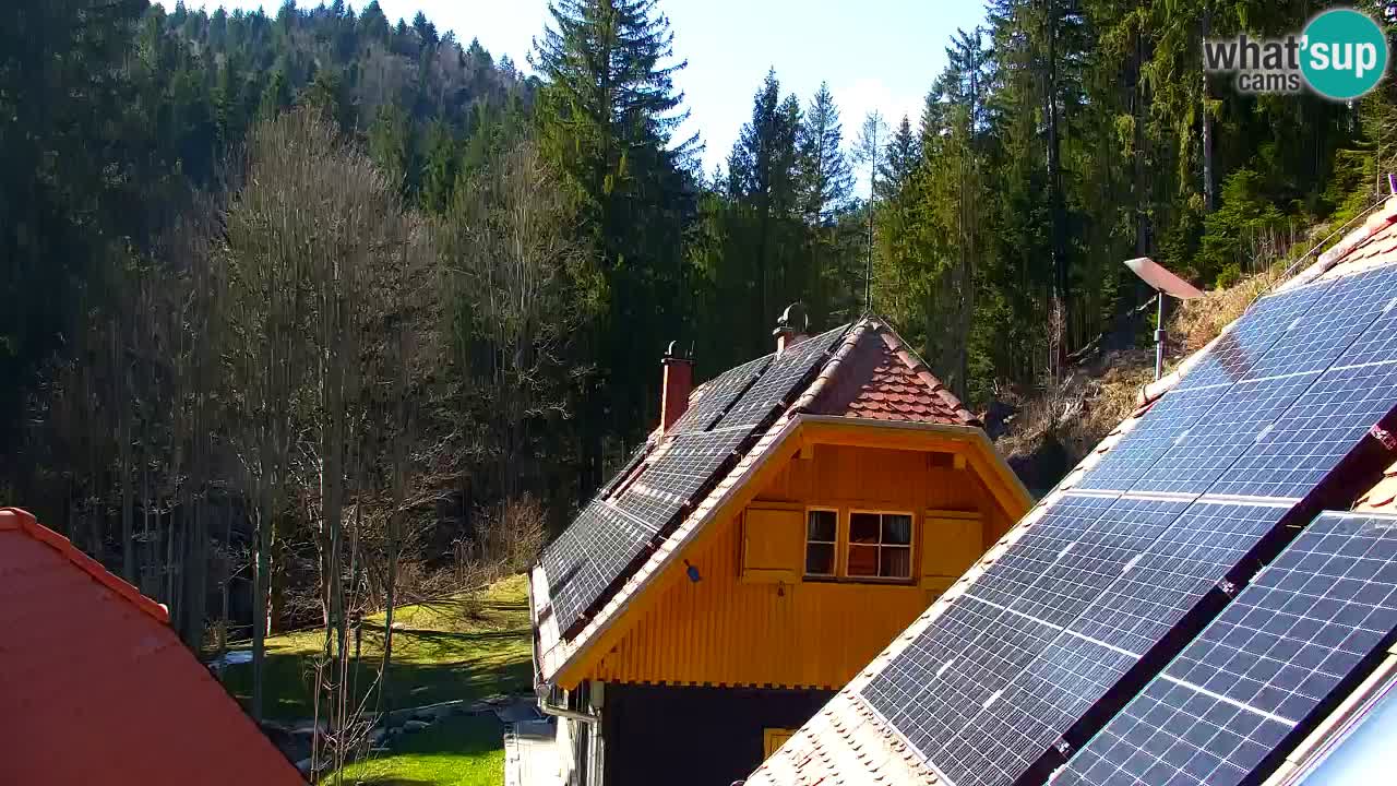 Webcam Lukanja – Water Village | Pohorje Houses