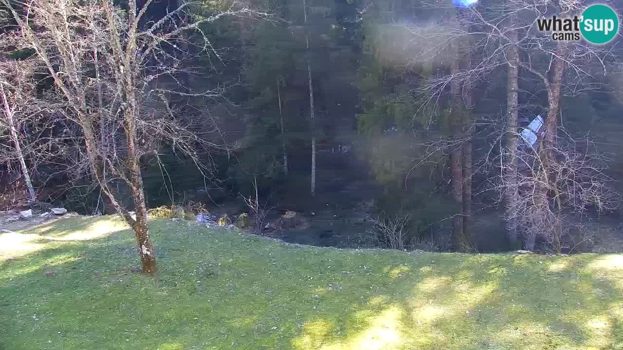 Spletna kamera Lukanja – Water Village | Pohorje Houses