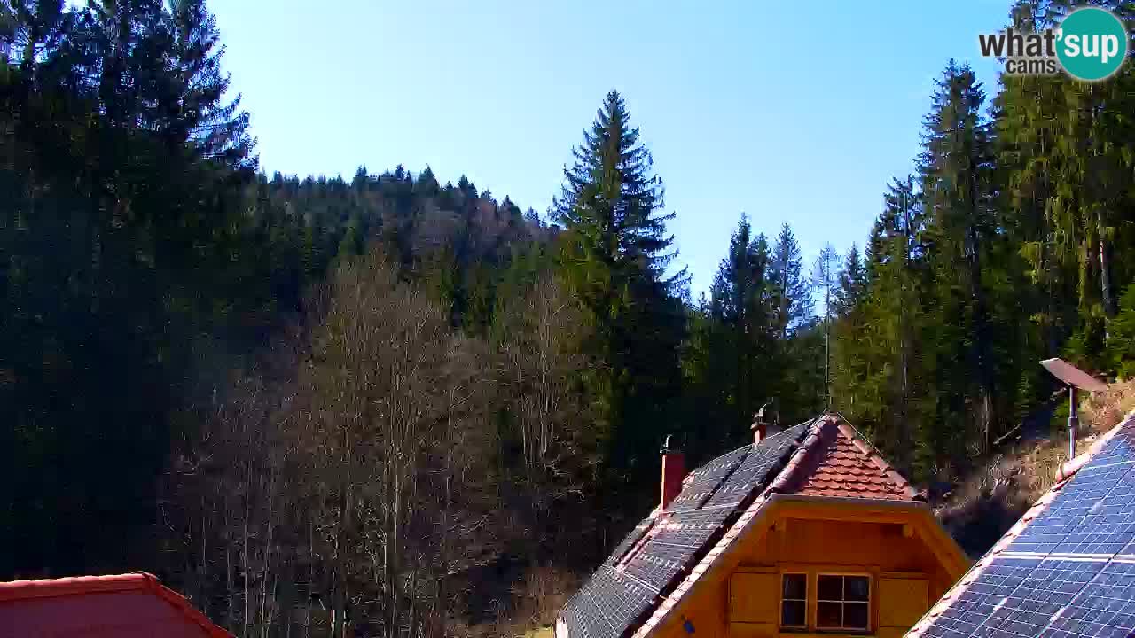 Webcam Lukanja – Pohorje houses a Water village