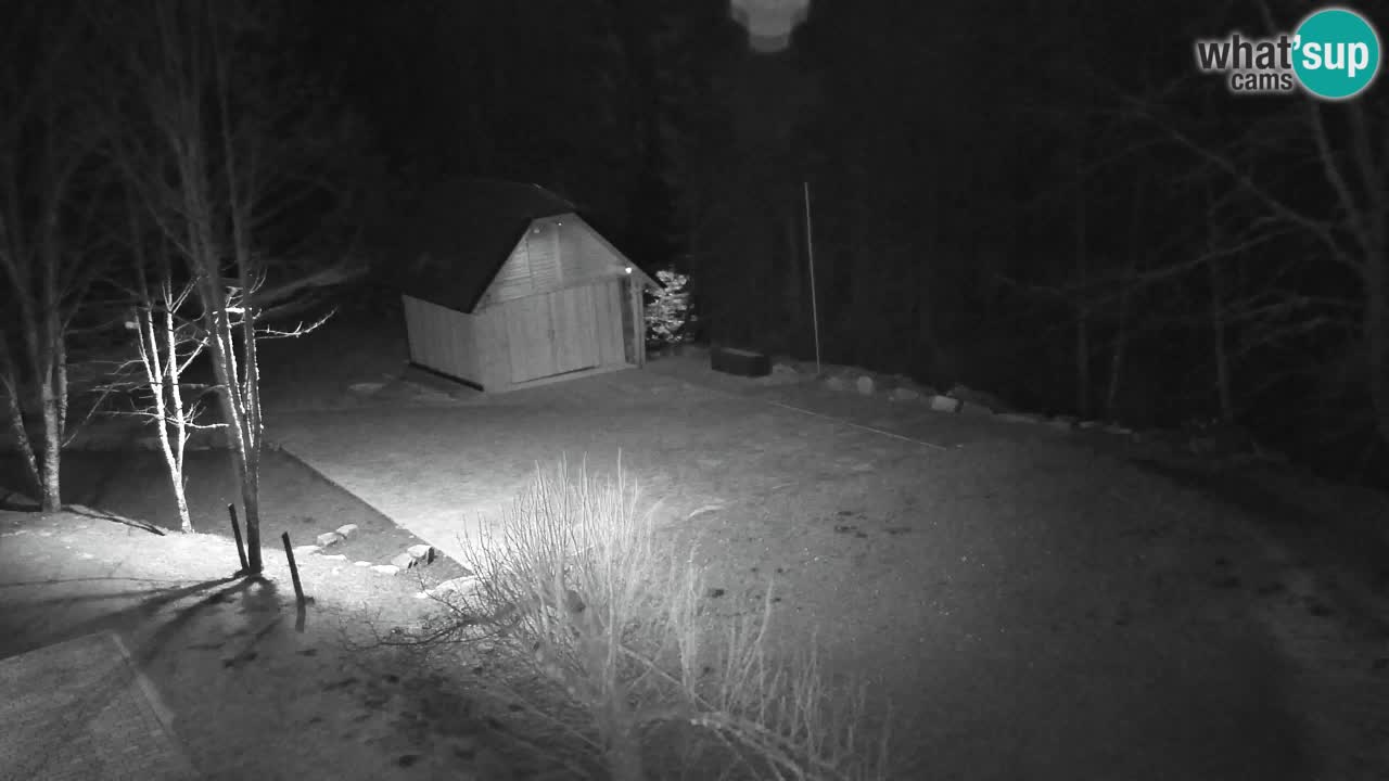 Web kamera Lukanja – Water Village | Pohorje Houses