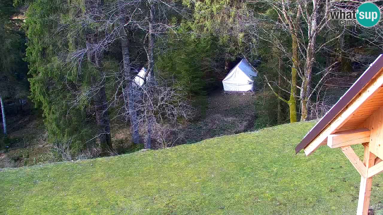Web kamera Lukanja – Water Village | Pohorje Houses
