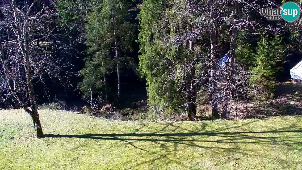 Webcam Lukanja – Pohorje houses a Water village