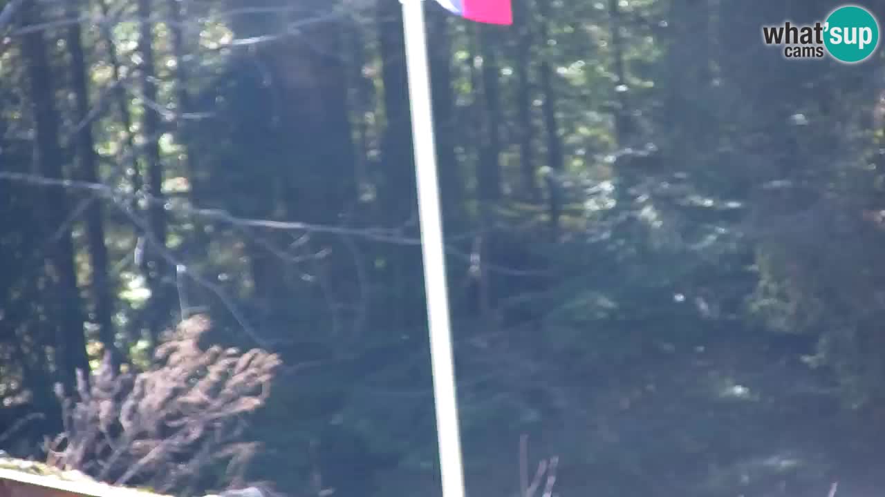 Webcam Lukanja – Water Village | Pohorje Houses