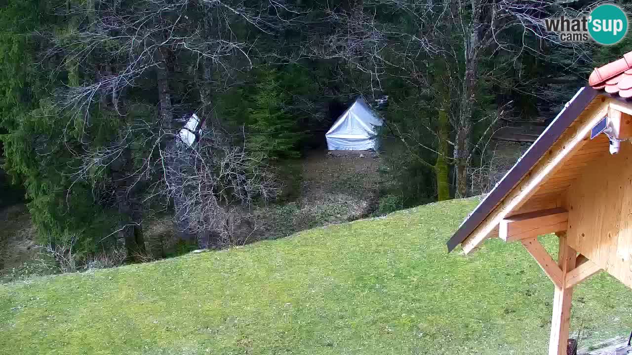 Webcam Lukanja – Water Village | Pohorje Houses