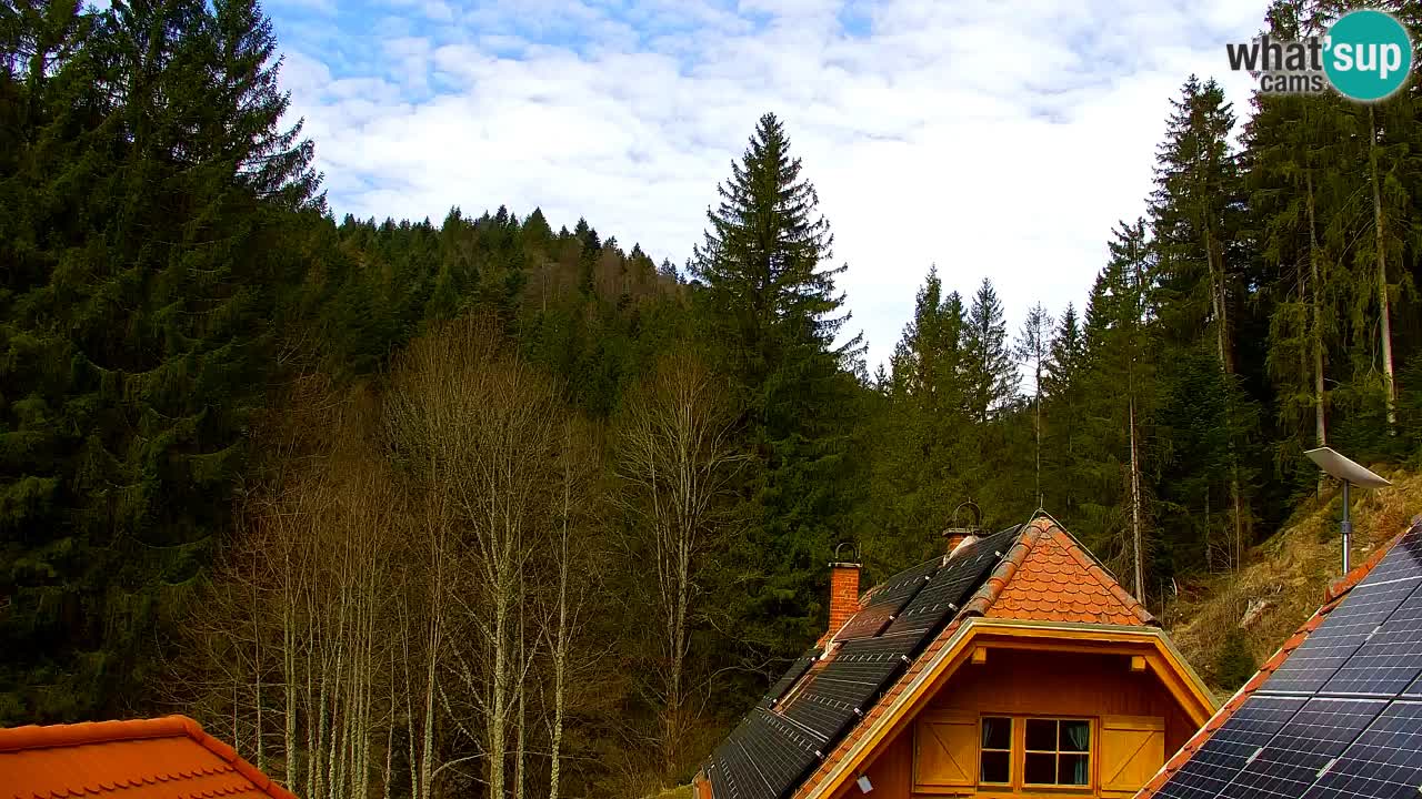 Webcam Lukanja – Water Village | Pohorje Houses