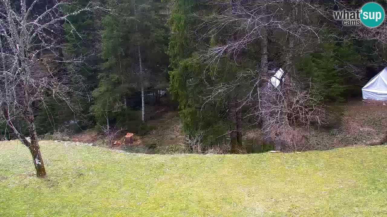 Webcam Lukanja – Water Village | Pohorje Houses