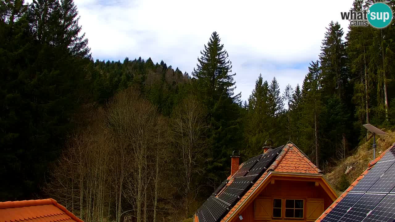 Webcam Lukanja – Water Village | Pohorje Houses