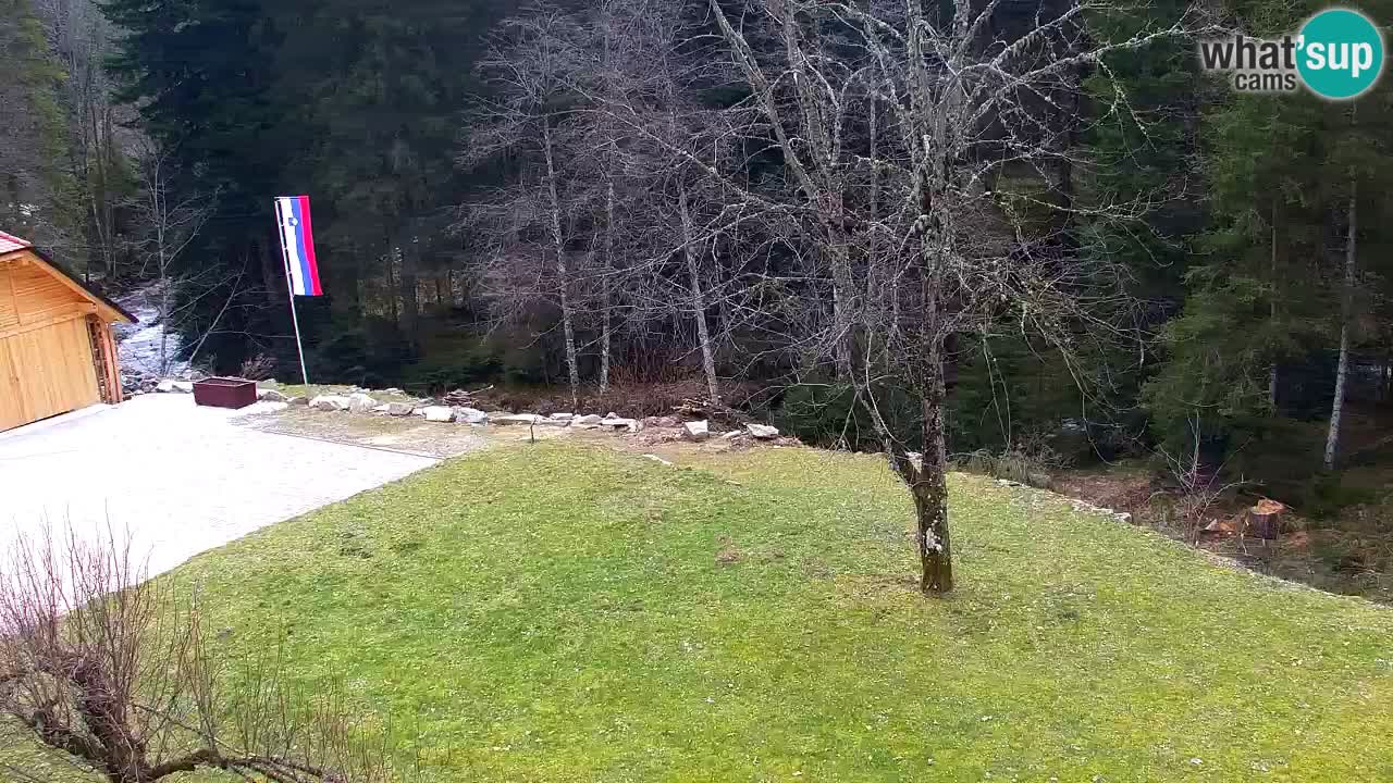 Webcam Lukanja – Water Village | Pohorje Houses