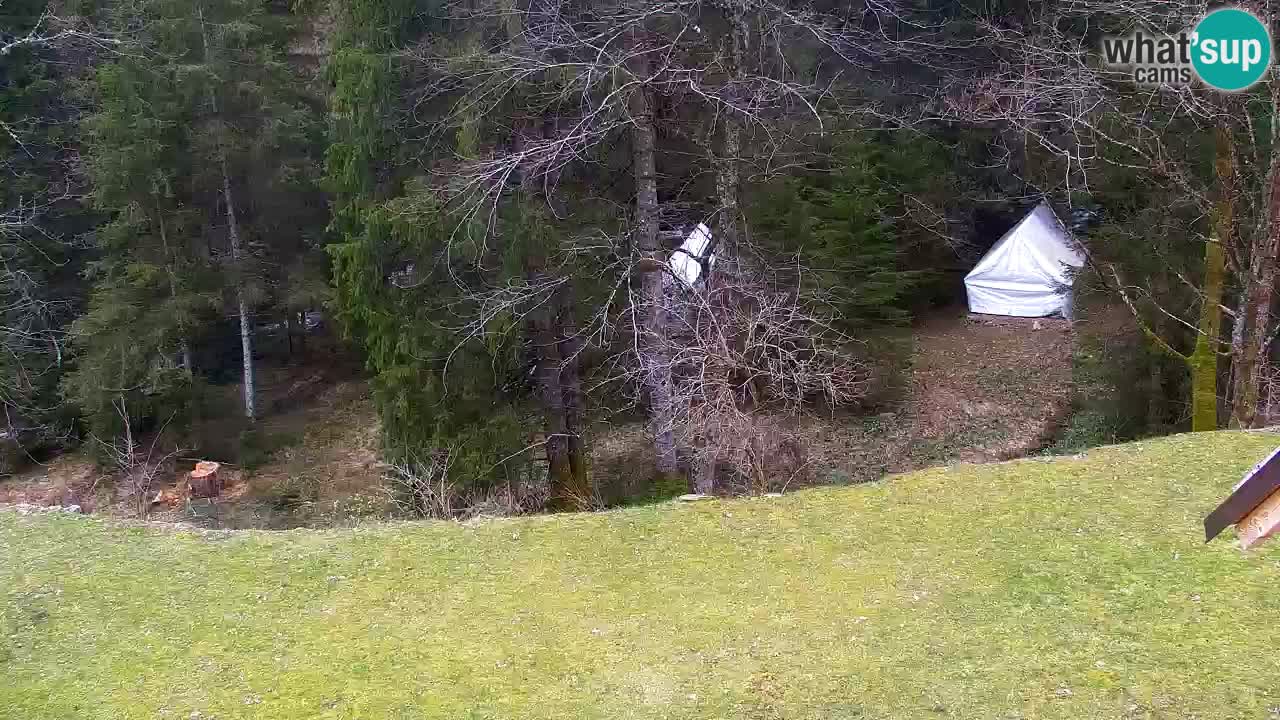 Webcam Lukanja – Water Village | Pohorje Houses