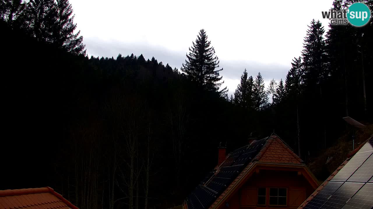 Spletna kamera Lukanja – Water Village | Pohorje Houses