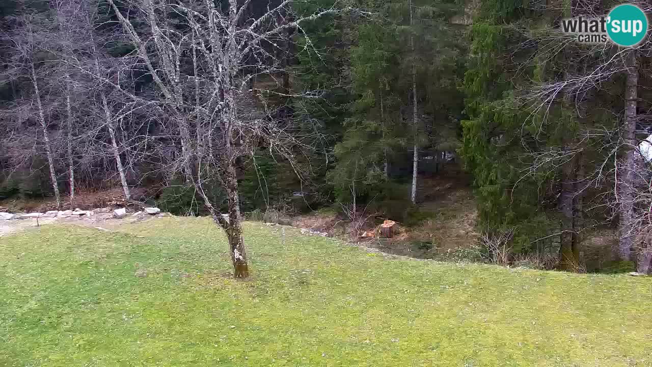 Webcam Lukanja – Water Village | Pohorje Houses