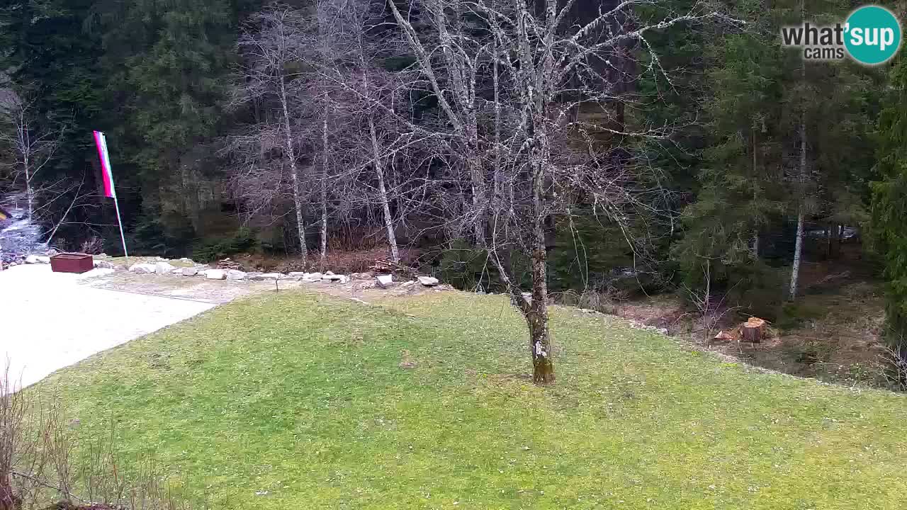 Webcam Lukanja – Water Village | Pohorje Houses