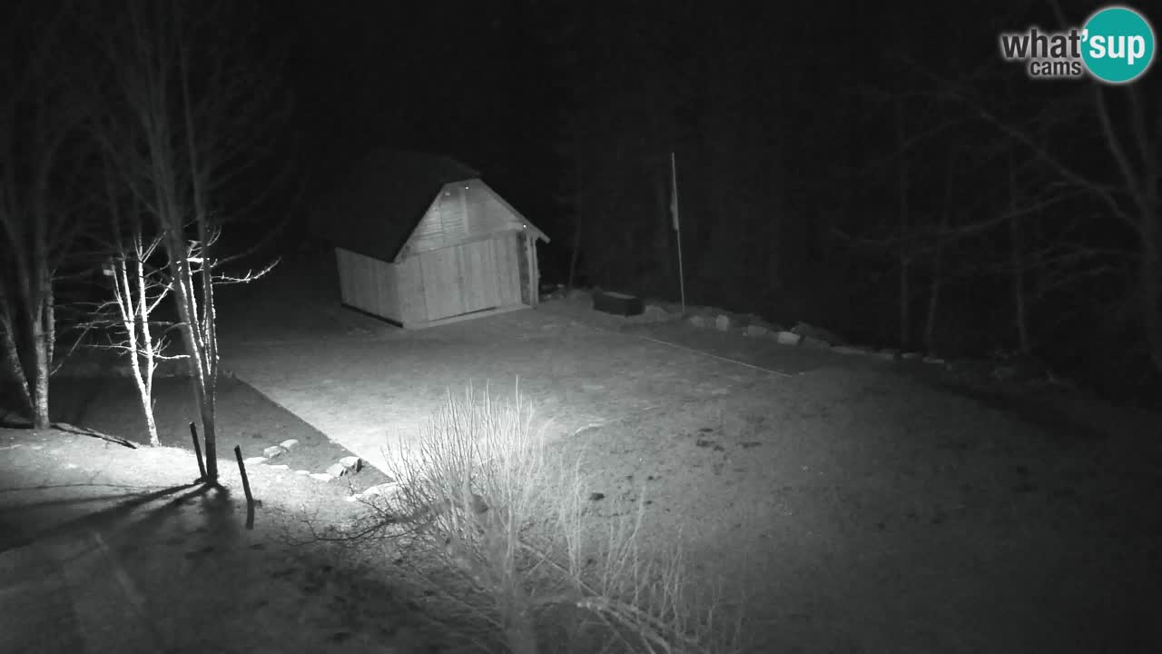 Webcam Lukanja – Pohorje houses a Water village