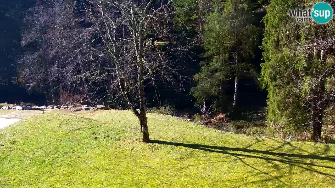 Webcam Lukanja – Water Village | Pohorje Houses