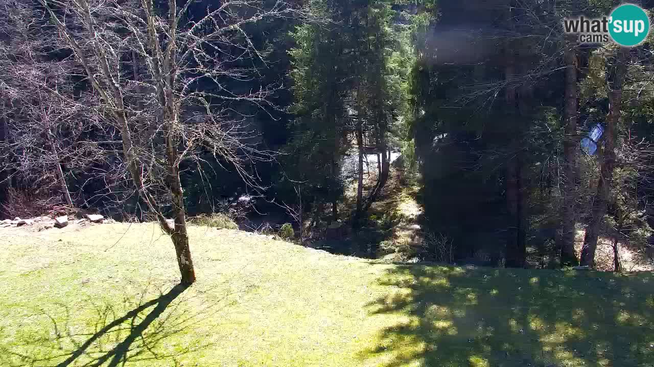 Webcam Lukanja – Water Village | Pohorje Houses