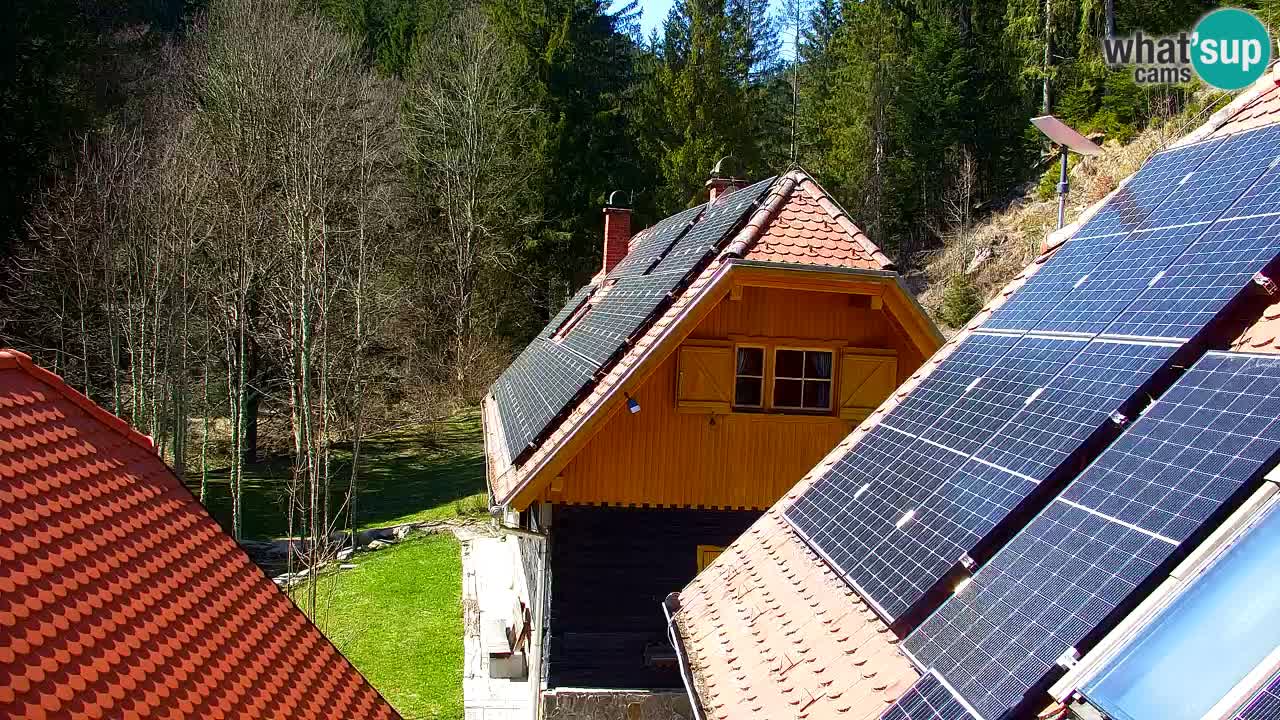 Webcam Lukanja – Water Village | Pohorje Houses