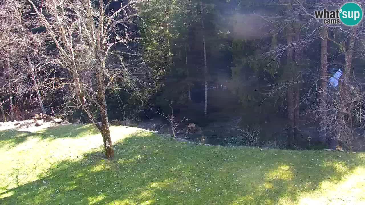 Webcam Lukanja – Water Village | Pohorje Houses