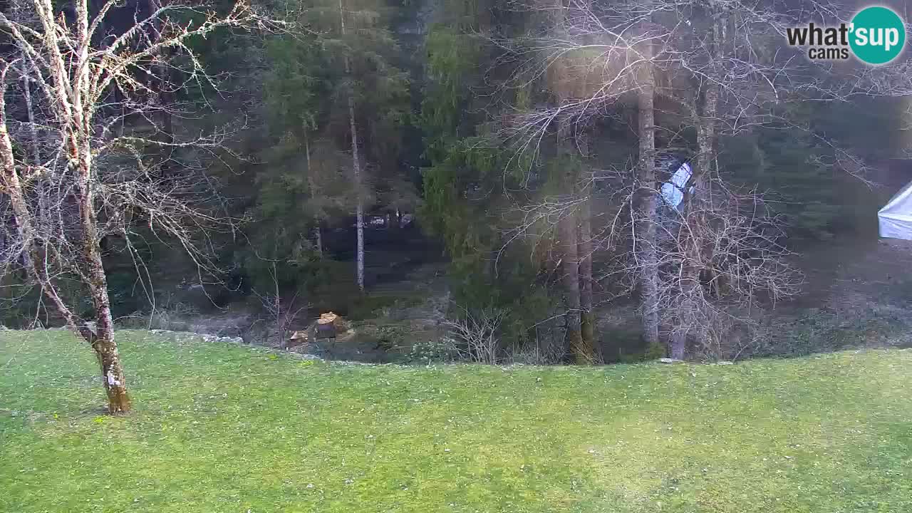 Webcam Lukanja – Water Village | Pohorje Houses