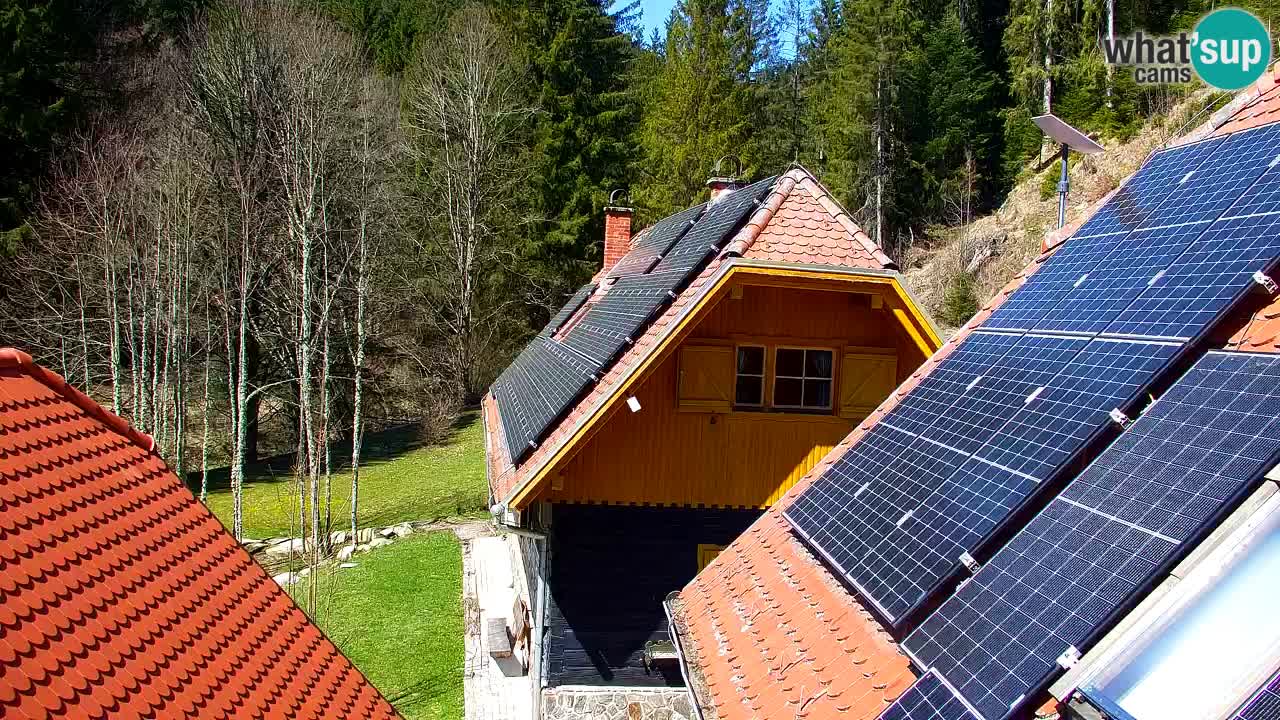 Webcam Lukanja – Water Village | Pohorje Houses
